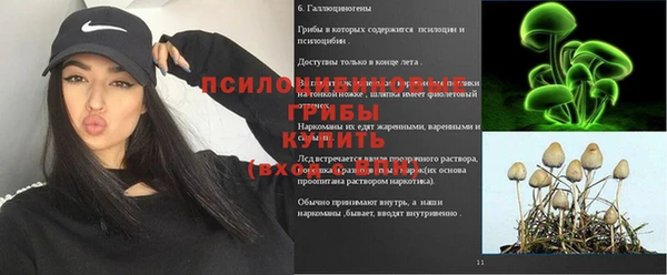 дурь Верея