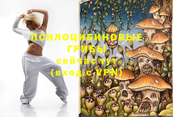 дурь Верея